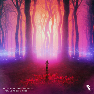 AllNude全乳裸体写真集
